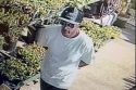 Stolen vehicle suspect