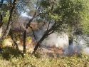 CAL Fire Mt Havalia Prescribed Burn