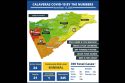 Calaveras County Public Health COVID-19 numbers-11-13-2020