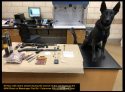 Drugs and weapons found by K9 Nox