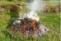 Legal yard waste burn pile