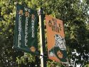 Sonora High Banner