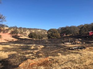 Lake Don Pedro Region