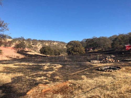 Lake Don Pedro Region