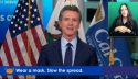 Governor Gavin Newsom