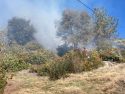 Aaron Fire in Sonora