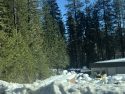Snow in Arnold on Highway 4