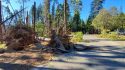 Downed tree in Yosemite (File Photo)