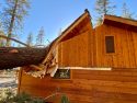 Downed tree into building at Yosemite after wind storm
