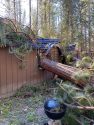 Downed tree into building at Yosemite after wind storm