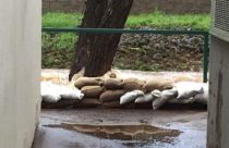 Sandbags for flooding