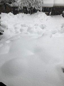 Several feet of snow in Arnold