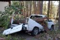 Tree smashed on top of Yosemite service vehicle