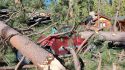 Tree smashed on top of Yosemite service vehicle