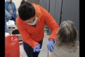 COVID-19 vaccination distribution