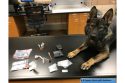 Drugs sniffed out by K9 Storm