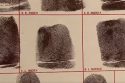 Finger prints that were misplaced and recently discovered