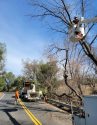 Roadside brushing on Rawhide Road