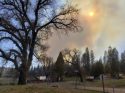 Line Fire