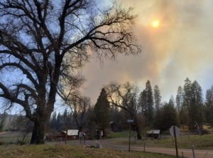 Line Fire