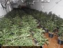 Drug bust