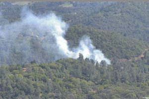 Grass fire in Sonora