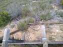 Lumber thrown into flume