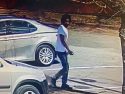 Vehicle Break-In Suspect