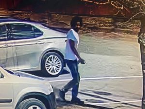 Vehicle Break-In Suspect