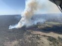 Line Fire