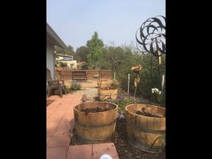 Attracting Wildlife to Your Garden