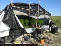 Illegal grow bust in Jenny Lind
