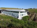 Illegal grow bust in Jenny Lind