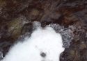 Melting Snow
