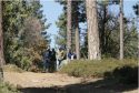 Governor Newsom Tours Creek Fire Area