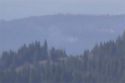 Sheep Ranch Fire