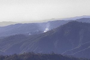 Sonora Fire