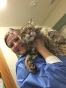 Tuolumne County Animal Control helping a bobcat