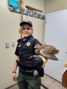 Tuolumne County Animal Control officer aiding a bird
