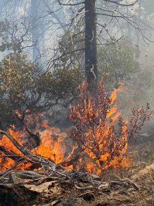Vegetation Fire near Beardsley Lake in the Strawberry area