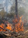 Vegetation Fire near Beardsley Lake in the Strawberry area