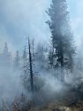 Vegetation Fire near Beardsley Lake in the Strawberry area