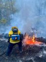 Vegetation Fire near Beardsley Lake in the Strawberry area
