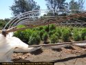 One of four pot bust in Calaveras County last week