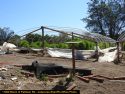 One of four pot bust in Calaveras County last week