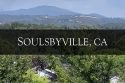 Soulsbyville