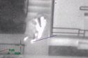 Video release in deadly officer involved shooting in San Andreas in May