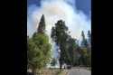 Yosemite Valley Prescribed Burn
