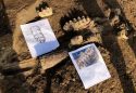 Fossil Discovery in Valley Springs