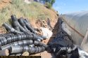 Calaveras County Sheriff's illegal grow busts